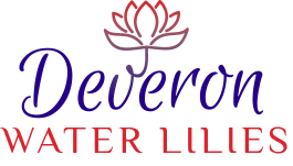 Deveron Water Lilies